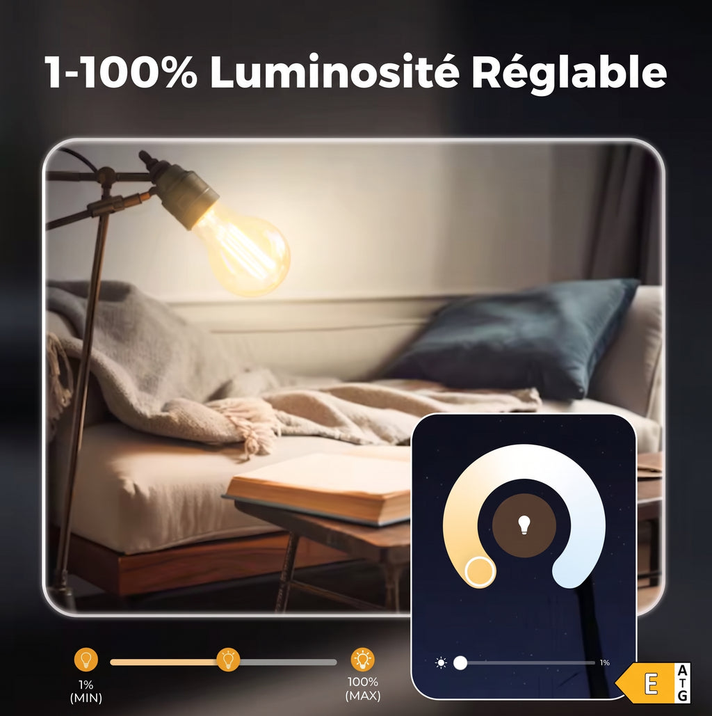 Ampoule E27 à filament apparent, à l'unité ou en lot de 3 à 9