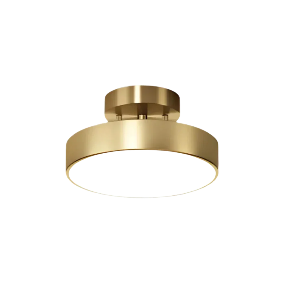 Plafonnier LED rotatif de 15, 20 ou 30 cm pour entrée ou couloir