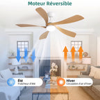 Ventilateur de plafond silencieux à moteur DC, 6 vitesses et télécommande